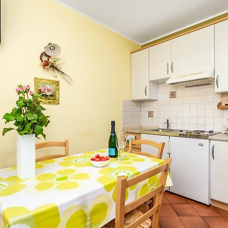 Apartment Rona Ani *